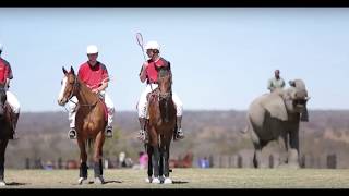 Zambia Polocrosse [upl. by Toback]