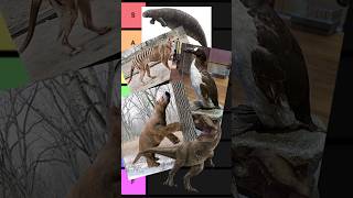 EXTINCT ANIMALS TIER LIST PART 2 shorts tierlist animals [upl. by Amsab]