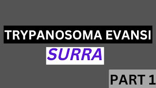 Trypanosoma evansi SURRA life cycle and pathogenesis [upl. by Ahsimik]