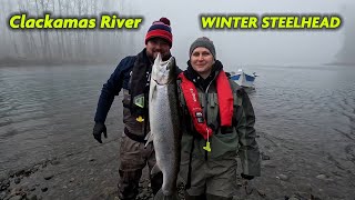 Clackamas River Winter Steelhead Fishing [upl. by Onirefes]