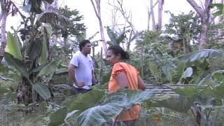 THE PACIFIC WAY STORY  MORDI Tonga Innovative Rural Development [upl. by Nazario]