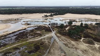 Loonse en Drunense Duinen [upl. by Zelle]