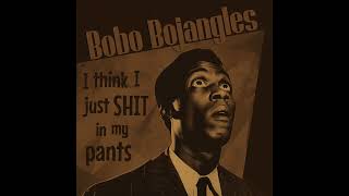 Bobo Bojangles  I Think I Just Shit In My Pants [upl. by Yroc]