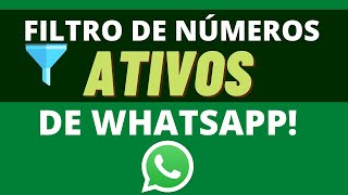 Filtrar Números ATIVOS de WhatsApp AUTOMATICO  NOVO MÉTODO 2024 [upl. by Marcelline]