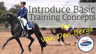 How to introduce basic training concepts to young Dressage horses with Tor Van Den Berge [upl. by Anirrak]