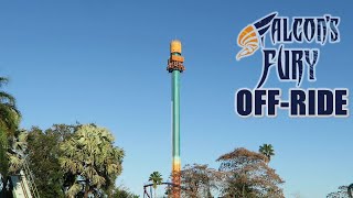 Falcons Fury OffRide Footage Busch Gardens Tampa Intamin Drop Tower  NonCopyright [upl. by Nicole]