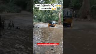 Leyland ගැම්ම 💪  truck srilanka trending bus automobile 1millon shortsfeed [upl. by Areem]