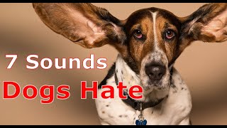 7 Sounds Dogs Hate To Hear  Sounds That Make Dogs Go Crazy [upl. by Ailed]