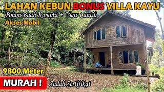 Lahan Kebun Murah Bonus Villa Kebun Durian Kelapa Cengkeh Lengkeng  ABAH PROPERTI [upl. by Addi]