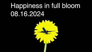 Happiness in full bloom  promo [upl. by Africah]