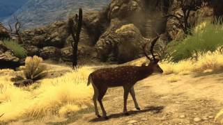 Cabelas Big Game Hunter 2010  long dev trailer [upl. by Enilegnave399]