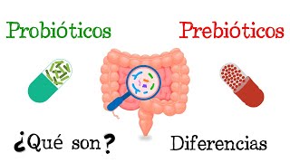 🦠 Probióticos y Prebióticos 💥 ¿Qué son 🧫 Funciones Fácil y Rápido  BIOLOGÍA [upl. by Becket]