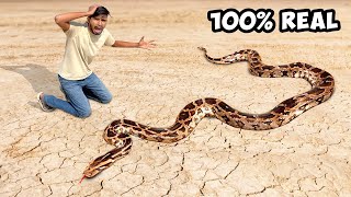 खतरनाक Python से आमना सामना🐍 Unexpected Snake Rescue [upl. by Innek]