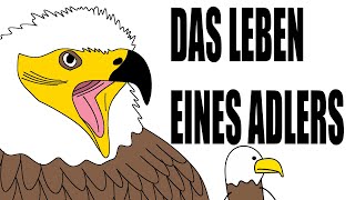 Majestät der Lüfte Das Leben eines Adlers [upl. by Anoel]