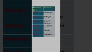 Endocrine glands and their harmones endocrinology glands humanbody viral trending class8 [upl. by Asennav414]