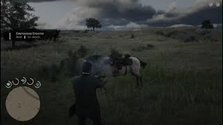 Saddest horse death ever 😔 [upl. by Helve]