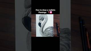 Realistic Flamingo🦩💟 Flamingo charcoaldrawing realisticdrawing art shorts subscribe [upl. by Rozamond]