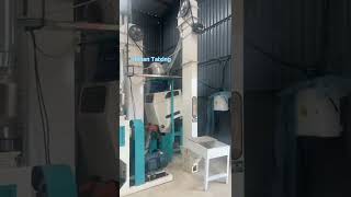 20 tons maize flour mill machine in Nigeria maizemillingmachine maizeflourmachine [upl. by Pasahow]