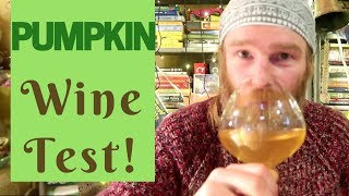 Pumpkin Wine Taste Test What is it like [upl. by Nifled]