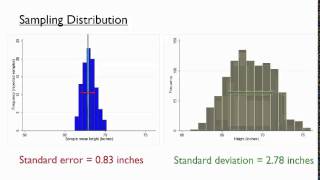 Sampling Distributions [upl. by Baruch403]