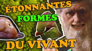 Doù viennent les formes du vivant   PdS03 [upl. by Hairom]