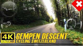 Cycling Switzerland  Autumn Road Descent From Gempen ASMR [upl. by Baynebridge]