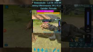 TAMING Beelzebufo trending arkseries arksurvivalevloved gaming like subscriber [upl. by Farly574]