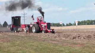 Farmall 856 quotRed Edge IIquot pulling at Bancroft NE 2024 [upl. by Phox]