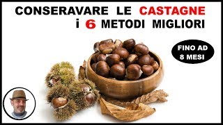 CONSERVARE LE CASTAGNE CRUDE O COTTE i sei migliori metodi [upl. by Ahsinhoj667]