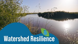 Watershed Resilience with Riparian Restoration [upl. by Oner]