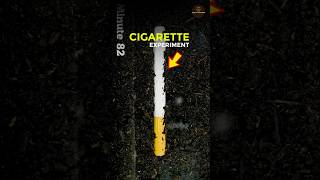 CIGARETTE सिगरेट EXPERIMENT  shorts [upl. by Gerome]