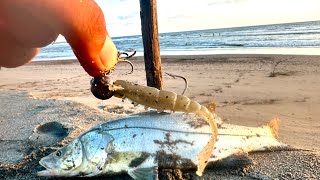 PESCA de PLAYA con CAMARÓN ARTIFICIAL  pescando RÓBALOS [upl. by Tymes406]