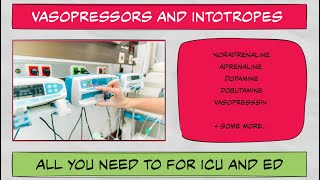 Vasopressors and Inotropes in ICU and ED all you need to know [upl. by Ahsahtan908]