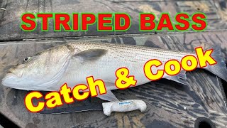 CutBait for Stripers below Dams  STRIPED BASS CATCH amp CLEAN [upl. by Ecylla]