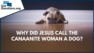 Why did Jesus call the Canaanite woman a dog  GotQuestionsorg [upl. by Vite755]