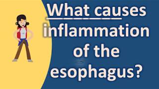 What causes inflammation of the esophagus  Healthy Living FAQs [upl. by Akit]