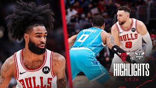 HIGHLIGHTS Chicago Bulls beat Hornets 10491  Zach LaVine and Nikola Vučević return [upl. by Enneyehc]