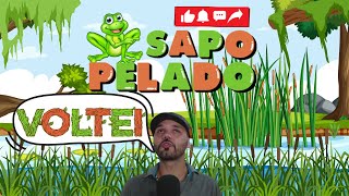 O SAPO VAI VOLTAR [upl. by Arbrab]