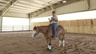 HOW TO GET THE PERFECT REINING STOP WITH YOUR HORSE [upl. by Ainnek425]