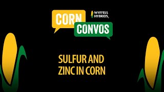 Wyffels Fertility 101  Sulfur and Zinc in Corn [upl. by Gertrude]