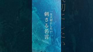 【一生大切にしたい刺さる言葉】響く言葉 名言 哲学 偉人 [upl. by Ellehcan]