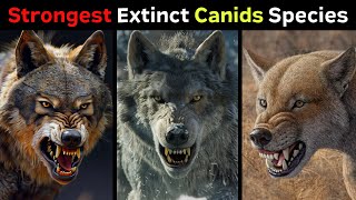 10 Most Powerful Extinct Canid Species [upl. by Manaker830]