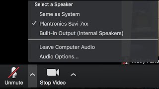 How To Fix Zoom MicrophoneAudio Problems on Windows 10 [upl. by Redlac]