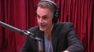 Jordan Peterson Explains the Male Dominance Hierarchy  The Joe Rogan Experience [upl. by Assirac889]