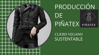 PROCESO DE PRODUCCIÓN CUERO VEGANOPIÑATEX [upl. by Hardden]