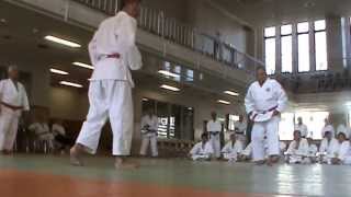 ITSUTSU NO KATA KODOKAN 2013 3 [upl. by Assiroc]