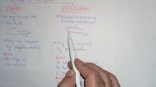 Bacterial Appendages  Pili Or Fimbriae  Flagella  Class 11 [upl. by Tiphane]