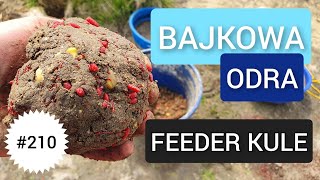 210 BAJKOWA ODRA  FEEDER Z KULAMI 🙂🙂🙂 [upl. by Kisor]