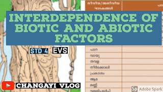 STD 4 biotic and abiotic factors in the ecosystem [upl. by Ramunni995]