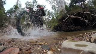 Crossing the Aberfeldy River Eaton Track with Lachie Jono and MrWiretap Billy Smith [upl. by Chapel]